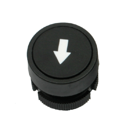 [4010020] Push button 1